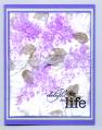 2007/01/23/lavender_blossoms_by_Crysta.jpg