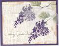 2007/07/07/weathered_eggplant_blossoms_abound_by_nillysilly_ol_bear.jpg