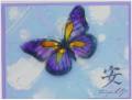2004/02/19/2506Crystal_Window_Butterfly2.jpg