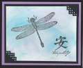 2004/09/18/14434Tranquility_dragonfly.jpg