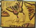 2004/12/19/1977laura_butterfly.jpg