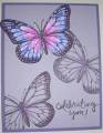 butterfly_
