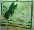 2008/07/05/DH_Wasabi_Inspiration_Dragonfly_by_diane617.jpg