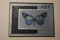 2008/12/25/Butterfly_in_Blue_by_Stamp_Muse.JPG