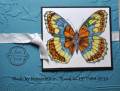 2010/05/30/Teal_Butterfly_small_by_bensarmom.jpg