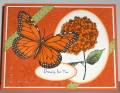 2010/07/23/DTGD10_mms_orange_butterfly_by_lacyquilter.jpg