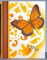 2010/09/15/091510_mms_butterfly_by_lacyquilter.jpg