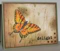 2009/01/23/IC164_mms_butterfly_delight_by_lacyquilter.jpg
