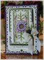 2012/09/22/HC_Congratulations_Delicate_Asters_w_wm_009_by_rosekathleenr.JPG