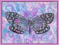 2006/06/10/IC27_Polished_Butterfly_by_DawnL.jpg