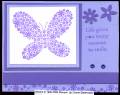 2006/08/17/Purple_Butterfly_by_Karen_Beiermann.jpg