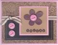 2007/05/01/pink_brown_button_daisy_by_anne-marie.jpg