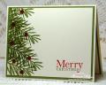 2013/05/14/Xmas_Peaceful_Wishes_MM60-DT_by_bon2stamp.JPG