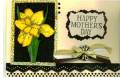 2009/04/07/mothers_day_by_Jessie_McRae.JPG