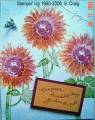 2006/07/15/Cranberry_and_Marigold_Flowers_small_by_bensarmom.jpg