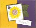 2006/08/05/serene_sunflower_thinking_of_you_by_rsdreyer.jpg