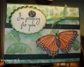 2009/03/27/Prayer_Butterfly_by_Minister_s_Wife.JPG