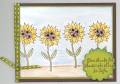 2009/09/13/sunflower_give_thanks_by_gabby89.jpg