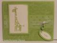 2007/05/17/Giraffe_baby_card_by_K_Thomas.JPG