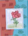 2006/07/03/watercolor_rose_by_Andrew_by_stampinthyme.jpg