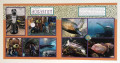 2020/06/20/TN4_Ripley_s_Aquarium_1_by_Christy_S_.JPG