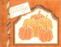 2006/10/17/flannel_pumpkin_suen_by_suen.jpg
