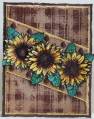 2007/01/29/Sunflowers_and_Plaid_by_Rox71_2_by_Rox71.jpg