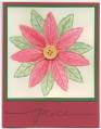 2006/10/29/All_Natural_Poinsettia_by_Christy_S_.JPG