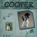 Cooper_by_