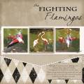 2012/06/12/12-6-flamingo-fight_by_fawall.jpg