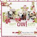 2013/11/09/hootieholidays_layout_by_Mary_Fran_NWC.jpg