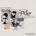 spider_by_