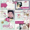 2015/01/31/daytoday_journalcard_layout_by_Mary_Fran_NWC.jpg