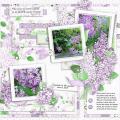 2015/06/29/lilacblossoms_layout_by_Mary_Fran_NWC.jpg