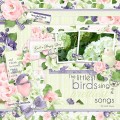 2017/04/16/birdsong_layout_by_Mary_Fran_NWC.jpg