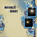 2017/09/01/snp_sg_moonlitNight-web_by_bahtoy.jpg