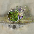 2023/06/22/12X12-GRASSMERE---BEAUTIFUL-THINGS-IN-HUMBLE-PLACES_by_wombat146.jpg