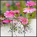 2024/02/14/12X12-PINK-FLOWERS---IMAGINE-IT_by_wombat146.jpg