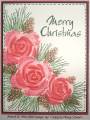 2006/11/23/LSC91D_mms_christmas_roses_by_lacyquilter.jpg