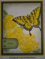 2007/05/24/WT114_mms_wings_and_roses_by_lacyquilter.jpg