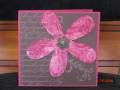 2008/04/16/Big_Blossom_Pomegranate_Choc_Chip_Kiss_by_Brat_Cards.JPG
