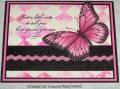 2007/02/28/LSC105_mms_pink_butterfly_by_lacyquilter.jpg
