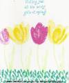 2005/03/10/7040terrific_Tulips_and_spring_gifts.jpg