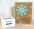 2011/12/20/snowflakediecutcard_copy_by_lisastenz.jpg