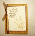 2007/11/01/Country_Blessings_Wheat_pop_by_up4stampin2.jpg