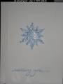 2005/10/13/snowflake_outline_card_copy_by_calbear1969.jpg