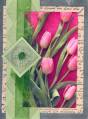 2006/04/19/Pixie_Pink_Tulips_by_ruby-heartedmom.jpg