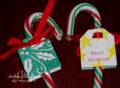 2007/12/11/candy_canes_close_up_by_andrea61.jpg