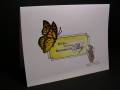 2007/11/10/Butterfly_and_Mouse_with_drawn_plate_in_between_by_wiggydl.jpg