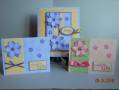 2009/10/17/Pat_s_Bday_Folio_Cards_by_Muffin_s_Mama.JPG
